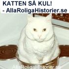 Roliga vitsar, historier och sk�mt finns p� denna hemsida.
